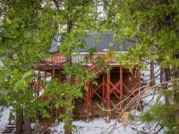 Thanksgiving 2025 at Sugar Bear! Ski at Dodge Ridge! Book Early! Same Day Book!