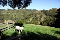 Escape to Valley View Nature Retreat – A Hidden Sanctuary in Apollo Bay