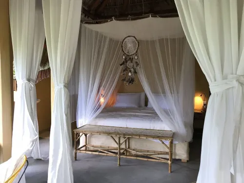 Romantic bungalow surrounded by trees.