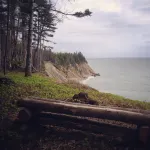 Rent Breton Cove Farmhouse - We are located on the Cabot Trail