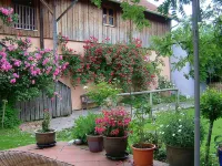 Cozy apartment Rosenstiege Gasthaus Halli Galli附近的飯店