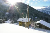 Your Box Seat in the Alps, Including Zell am See/ Kaprun Summer Card