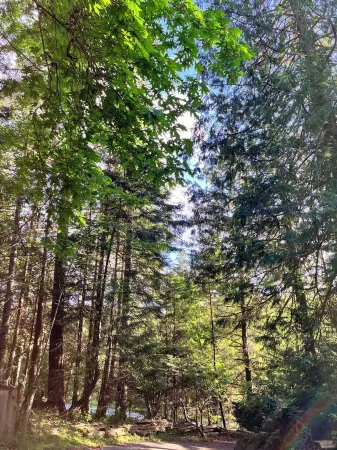 The Hobbit on Canopy Ridge Gabriola Отели в г. Нанаймо