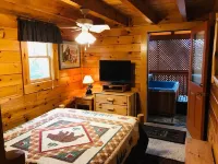 2b2b Cozy Cabin-Walking distance to Parkway! 208