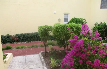 Sunrise Beach Villas #2.. Oceanfront Villa Отели в г. Остров Парадайз