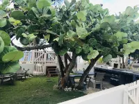 Beachfront Paradise With Breathtaking Ocean Views!Private access to Beach. Wifi