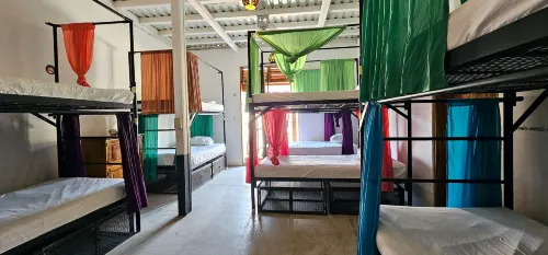 Casa Oro Eco Hostel - Hostels