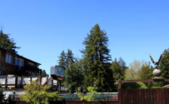 The Woods Hotel - Gay Lgbtq Cabins