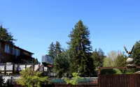 The Woods Hotel - Gay Lgbtq Cabins Hotels in Guerneville