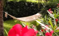 Hotel Anna Hotels in Ala