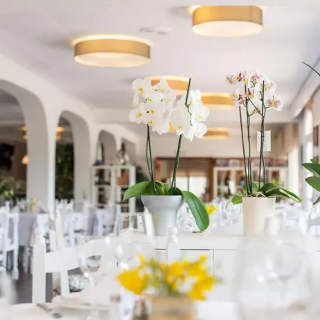 Hotel Ancora