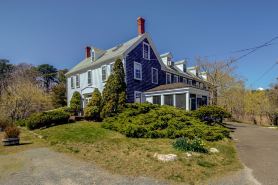 Copper Swan
