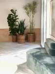 Hotel Tayko Sevilla - Pet Friendly
