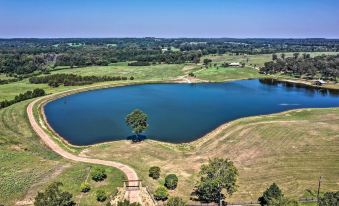The Bird Cabin Peaceful Refuge in East Texas