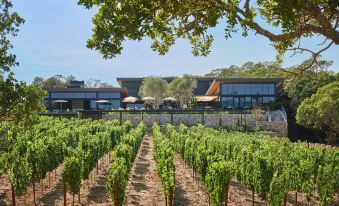 Montage Healdsburg