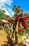 Agriturismomillefiori - Farmhouses