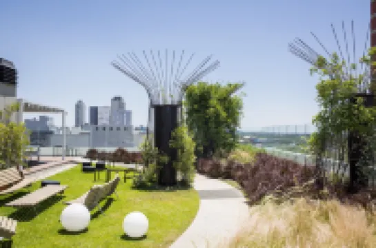 ท็อป เรนทัลส์ เบลกราโน