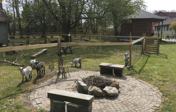 Hestkær Family Rooms