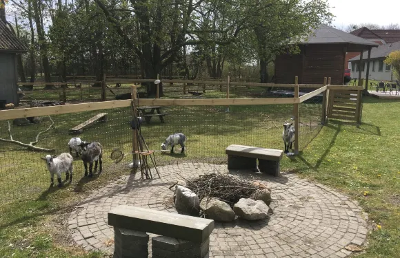 黑斯特卡爾家庭度假屋