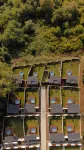 Sapanca Tiny Home