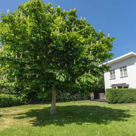 Pretty Holiday Home with Garden