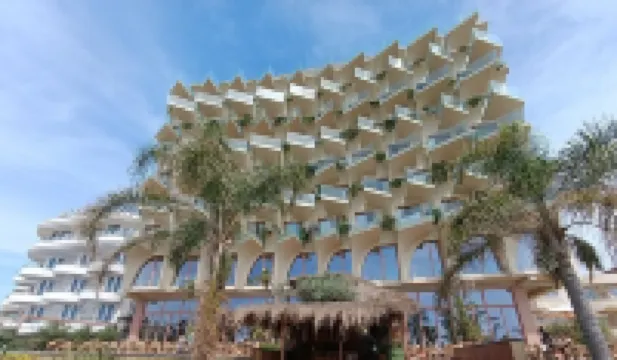 Epidamn White Sensation