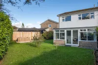 تاي جوين - هوت توب باركينج دوج فريندلي