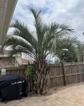 Sandcastle-Largest Heated Pool, Walk to Private Beach,GolfCart/Lsv,Pet Friendly