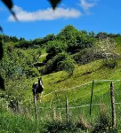 Cozy TinyHouse with garden in the nature park Hotels in Rorodt
