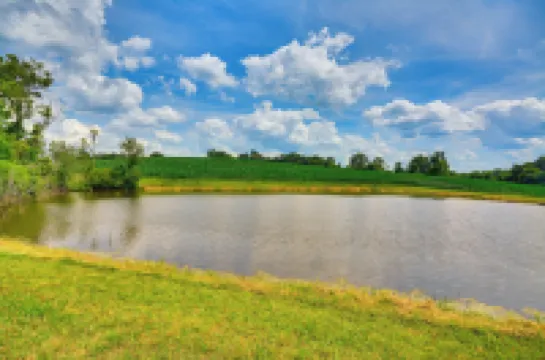 Bright & Elegant Home in High Point w/ Deck!