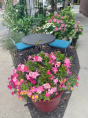 Charming 1-bedroom apartment in fantastic Warren with AC