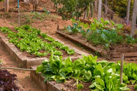 Rancho Diamond - Camanducainha - 42 km to Monte Verde - Pets allowed Отели рядом с достопримечательностью «Escola Mineira de Falcoaria»