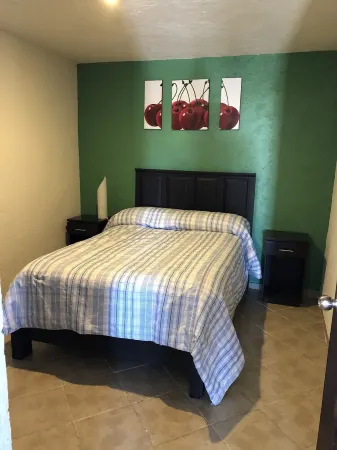 BEAUTIFUL APARTMENT WITH GREEN TERRACE