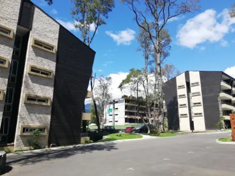 Apartment near the center. New, very welcoming.