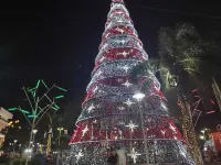 APARTMENT IN MONGAGUA BEACH, PEACE ON THE SAND