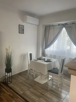 Luxury Central Studio/Hunedoara/romania  호텔