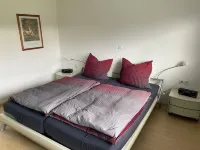 Relaxation in nature