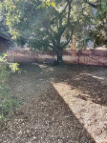 Private Bungalow Under the Oaks