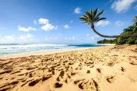Kbm Resorts Free Car Beach Villas at Ko Olina Ocean View 2-Bedroom Penthouse Bvk-O-1604 - Ocean View