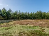 "Jurgis" - 300m from the Sea Hotels in Laeso