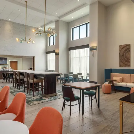 Hampton Inn and Suites by Hilton Tampa Busch Gardens Area