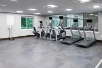 Holiday Inn & Suites PHILADELPHIA W - DREXEL HILL by IHG - Gym