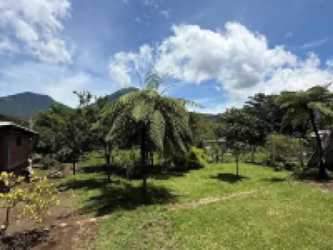 Villa San Carlos Hotels in Juayua