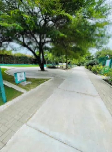 Sosua Ocean Village