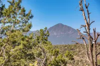 距梅薩維德國家公園12英里：帶庭院的家庭寶石