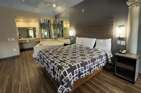 Regency Inn & Suites by Capital O Houston IAH Airport
