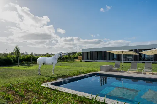Lusitano Garden Villas - Wifi