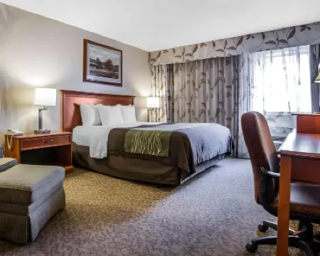 Econo Lodge North Hotels near Caloosahatchee Creeks Preserve West