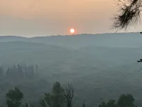 Cloud Green Resort & Spa Hotels in Avakali