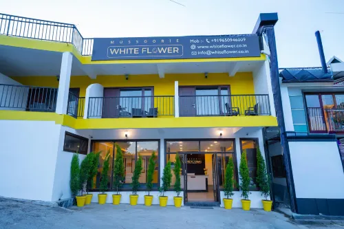 Mnp Vista Mussoorie
